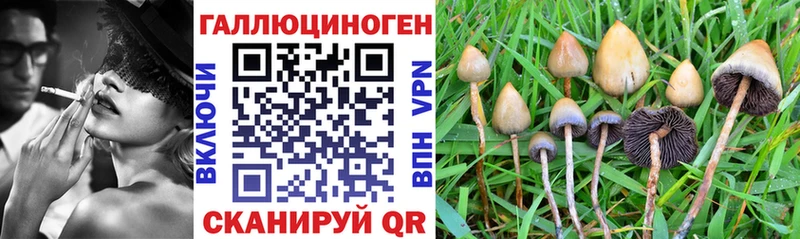 цены наркотик Пикалёво Галлюциногенные грибы Cubensis