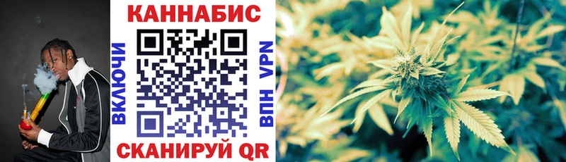 Конопля план  продажа наркотиков  Пикалёво 